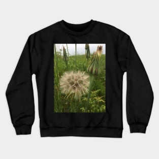 Make a Wish! May all your wishes and Dreams come True! Crewneck Sweatshirt